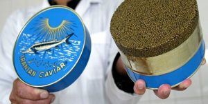 تولیدبیش از پنج هزار تن خاویار در گیلان